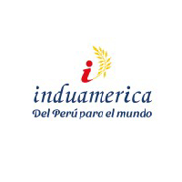 Logo Induamerica